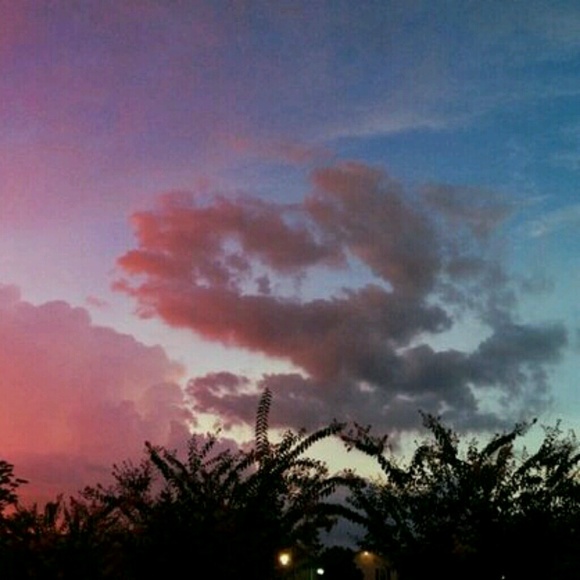 Meet your Posher, Leanna - Picture 1 of 1